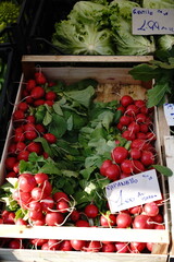 fresh vegetables on the market