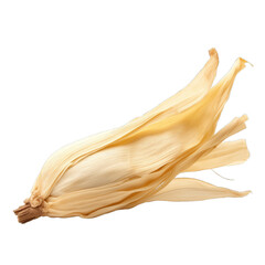 A dried corn husk isolated on white background