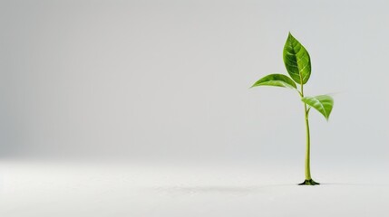 Encouraging Message of Persistence against a Plain White Background
