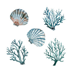 set of watercolor illustrations in a marine style on a white background, with hand-drawn corals and shellfish