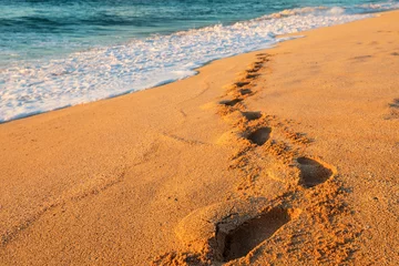 Selbstklebende Fototapeten Sandy beach © Galyna Andrushko