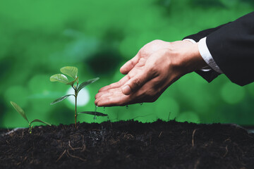Businessman grow and nurture plant on fertilized soil concept of eco company committed to corporate...
