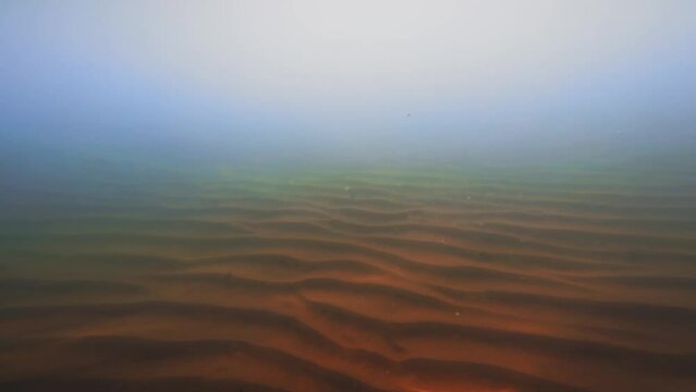 Underwater shot of seabed with ripples, calm seascape