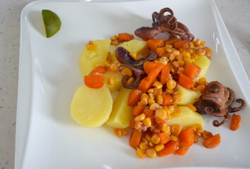 Cooked dish with vegetables and octopus on white ceramic plate.