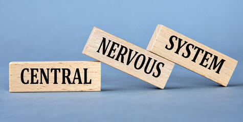 CENTRAL NERVOUS SYSTEM - words on wooden blocks on blue background
