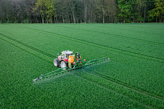 Pflanzenschutz im Ackerbau - roter Traktor mit Feldspritze im jungen Getreidebestand, Luftaufnahme.