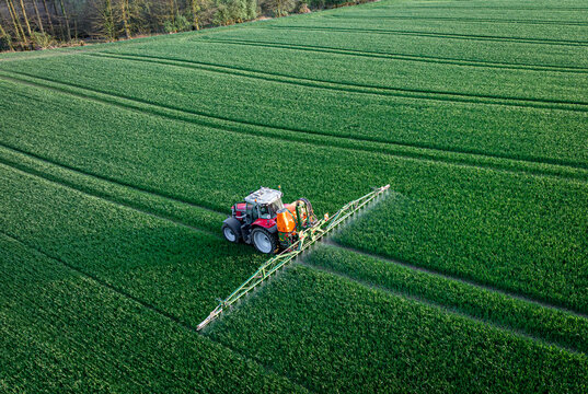 Pflanzenschutz im Ackerbau - roter Traktor mit Feldspritze im jungen Getreidebestand, Luftaufnahme.