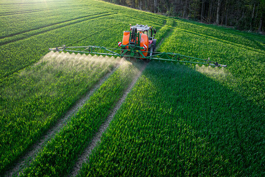 Pflanzenschutz im Ackerbau - roter Traktor mit Feldspritze im jungen Getreidebestand, Luftaufnahme.