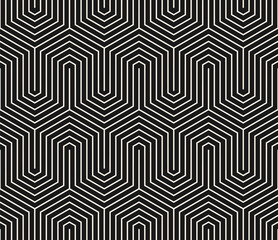 Modern vector geometric seamless pattern with thin lines, hexagon grid, quirky stripes. Black and white abstract background. Simple minimal linear texture. Dark repeated design for print, wallpaper
