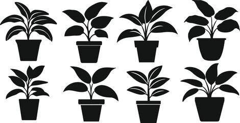 Potted plant silhouettes set. Plants in pots vector illustrations.