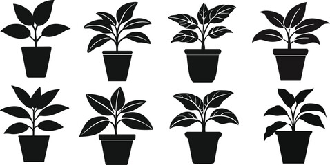 Potted plant silhouettes set. Plants in pots vector illustrations.