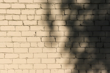shadows from tree leaves on a light brick wall 1