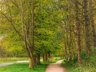 English Country Lane in Spring 