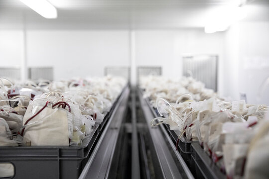 Blutkonserven in der Blutbank / Blood supplies in the blood bank