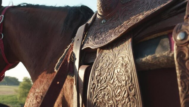 Man tightens the straps on a western saddle 