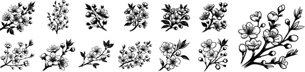 cherry blossom, nature plant floral vector black ornamental, floristic decoration illustration, silhouette svg, laser cutting cnc engraving