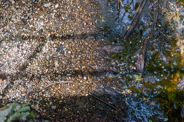 creek bed 