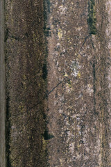 Grungy light pole texture