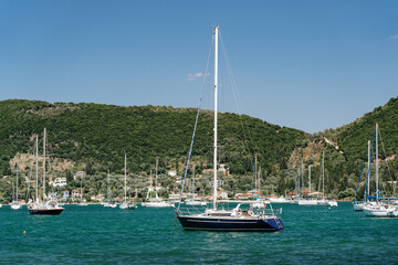 Tranquil marina with multiple sailboats anchored on calm waters against a backdrop of a lush green...