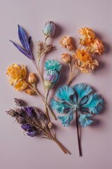 Dried Botanical Flowers