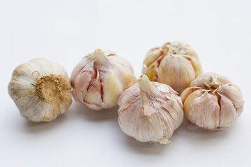 Garlic on a white background.