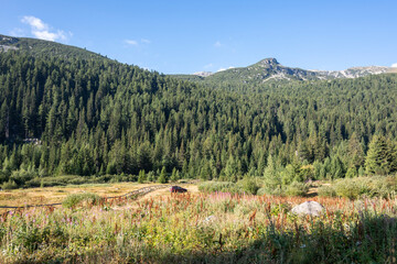 Fototapeta na wymiar Landscape of area of Tiha Rila, Rila mountain, Bulgaria