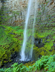 Waterfall in Umpqua National Forest