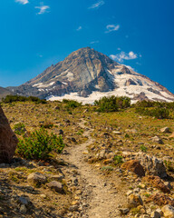 Trail to Mount Hood