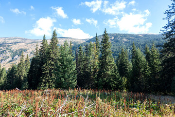 Landscape of area of Tiha Rila, Rila mountain, Bulgaria