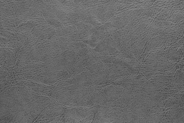 Genuine gray leather texture, natural animal skin, luxury vintage cowhide background. Eco friendly...
