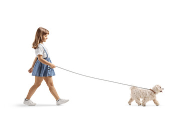 Full length profile shot of a little girl walking a white maltese poodle dog