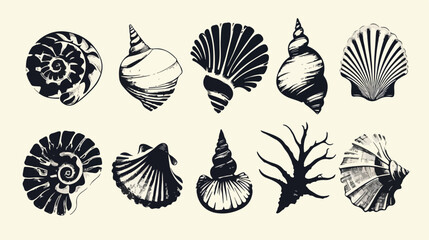 Vector sea shells black silhouettes isolated on the