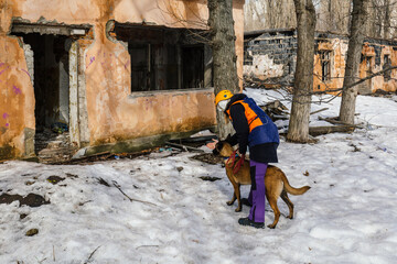 Rescuer with dog searching at ruined building