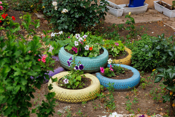 A colorful garden with a variety of flowers and plants