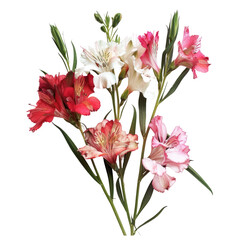 Obraz premium An exquisite arrangement of carnations and alstroemeria set against a pristine transparent background with a transparent background