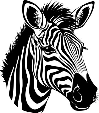 Zebra head SVG, Zebra face svg, zebra print SVG, Zebra skin lines SVG, zebra PNG, zebra