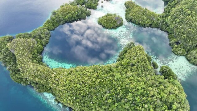 Early morning light illuminates the beautiful limestone islands of Pef in Raja Ampat, Indonesia. This remote, tropical region is known to harbor the world's greatest marine biodiversity.