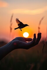 a man releasing bird from his hand with the sun in background