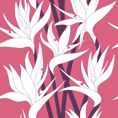 Vector seamless floral pattern with herbaceous plant of strelitzia. Watercolor illustration of plant of bird-of-paradis. For fabric, textile, wrapping paper, cover, package. Flowers and tropical leave