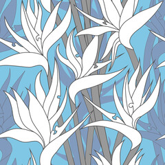 Vector seamless floral pattern with herbaceous plant of strelitzia. Watercolor illustration of plant of bird-of-paradis. For fabric, textile, wrapping paper, cover, package. Flowers and tropical leave