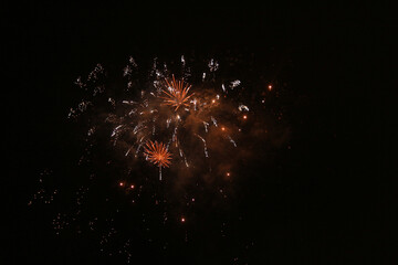 fireworks in the night sky