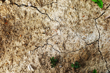 texture of ground