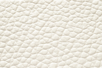 white leather texture as background, light natural skin surface - 793395129