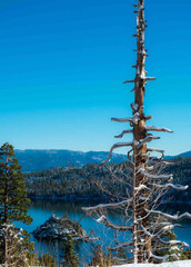 lake tahoe state country