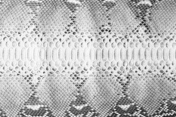 black and white python skin as background. snake skin texture with natural pattern - 793395518