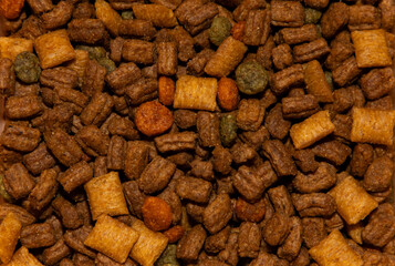 Close-up with dry dog ​​food