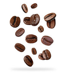 Roasted coffee beans falling on white background