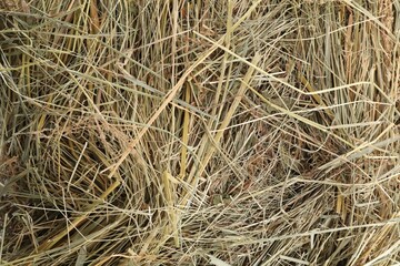 Pile of dried hay as background, top view