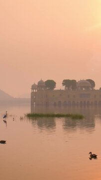 Tranquil morning at famous indian tourist landmark Jal Mahal (Water Palace) at sunrise in Jaipur. Ducks and birds around enjoy the serene morning. Jaipur, Rajasthan, India. Camera pan