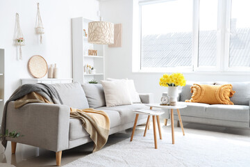 Soft sofa, coffee table and bouquet of narcissus flowers in light living room